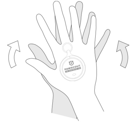 Step5.jpeg