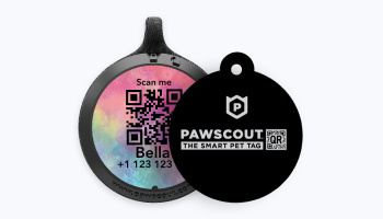 Pawscout_Bluetooth_and_Nameplate.png