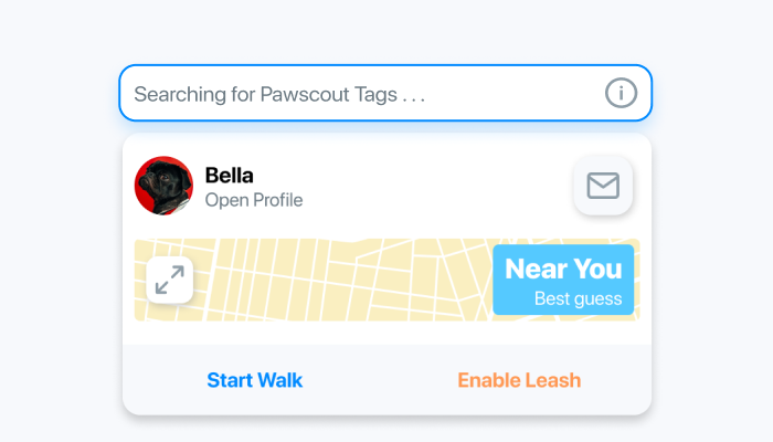 Pawscout setup store