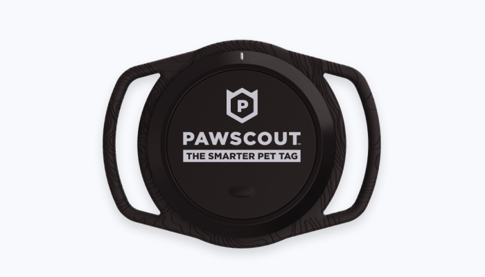 Pawscout the best sale smarter pet tag